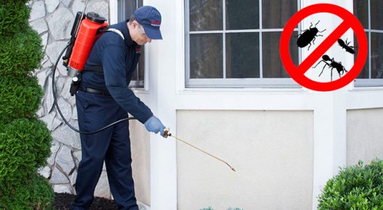 Elmalı Akrep İlaçlama böcek ilaçlama ve haşere kontrolü — ilaclama-tr.com